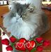 Tamara Ludwig - Facebook