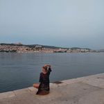 Tamara Luketic - @tamara_luketic - Instagram