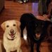 Tamara Lundgren - Facebook