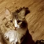 Tamara Lyons - @18tamara1870 - Instagram