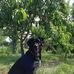 Tammy Magee - Facebook