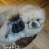 Тамара Томина201 - @tamaratomain - TikTok