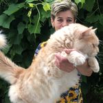tamara_maine_coon - @tamara_maine_coon - Instagram