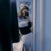 Tamara Maldonado - Facebook