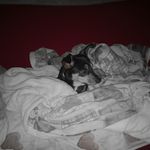 Tamara Mancini - @tamy.mancini.72 - Instagram