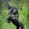 Tamara Mancini - @tamaramancini575 - TikTok