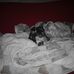 Tamara Mancini - Facebook