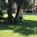 Тамара Маркарян - Facebook