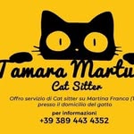 Tam Cat Sitter - @tamara_martucci - Instagram