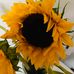 Tammy Masters - Facebook