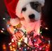 Tamara Mathers - Facebook