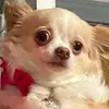 Tamara - @tamara_mayfield - TikTok