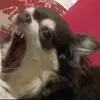 Tamara Mays - @tamaramays_5367 - TikTok