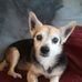 Tammy Lillian Mcgrath - Facebook