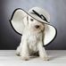 Tamara McGrew Trahan - Facebook