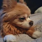 Tamara McIntyre - @tamara_pirates_fan_florida - Instagram