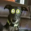 Tamara McIntyre - @tj0229 - TikTok