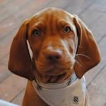 Tamara Bew McKaig - @bewmckaig - Instagram