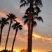 Tammy McWilliams - Facebook
