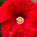 Tamara Meadows - @tamarameadows56 - Instagram