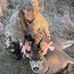 Tamara Mercer - Facebook