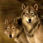 Tammy Messenger - Facebook
