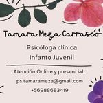 Tamara Meza - @ps.tamarameza - Instagram