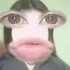 tamara meza - @tamarameza46579 - TikTok