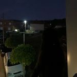 Tamara Mitrovic - @_mitrovic.tamara - Instagram