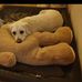 Tamara Mohler - Facebook