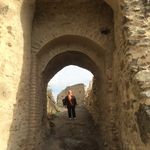 Moise Tamara - @tamara.moise - Instagram