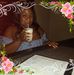 Tamara Moise - Facebook