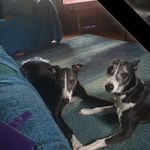 Tamara Morris - @tamara.morris.9041 - Instagram