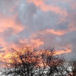 Tamara Murdoch - @murdochtamara - Instagram