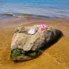 tamaranestor811 - @moonbeam1210 - TikTok