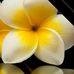 Tamara Norton - Facebook
