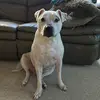 Tamara Tiffany Parks - @tamara.tiffany.pa - TikTok