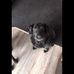 Tammy Phelan - Facebook