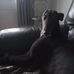 Tammy Pickering - Facebook