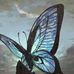 Tammy Pifer - Facebook