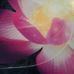 Tamara Piper - Facebook