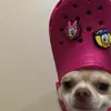 tamaraplace - @maraplace - TikTok
