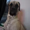 Graceismyname - @tamarapoole4 - TikTok