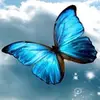 Tamara Preston678 - @tamarapreston678 - TikTok