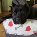 Tammy Preston - Facebook