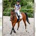 Tamara Purcell - Facebook