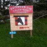 Tamara Purcell - @reec_horses_ - Instagram