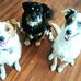 Tamara Pyle - Facebook