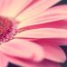 Tamara Ramey - Facebook