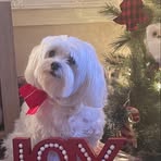 Tammy Ratcliffe - Facebook